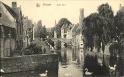 CPA Bruges Green Quay Swans