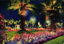 CPA Nice Le Jardin du Roi Albert 1er (effet de nuit)
