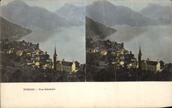 CPA Weggis Vue Generale