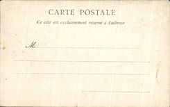 CPA Weggis Vue Generale