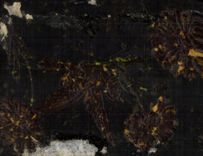 CPA Souvenir Fleurs oiseau