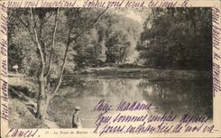 CPA Le Tour de Marne A Champigny Berge de la rive gauche Pecheur