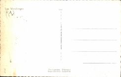 CPSM the Grape harvest Vines