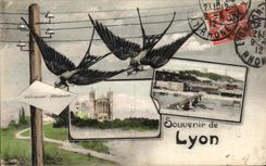 CPA Souvenir of Lyon Swallows