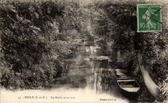 CPA Esbly Morin Under Wood