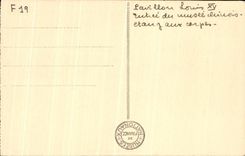 CPA Palate of Fontainebleau Louis House Entrance of the Chinese Museum and the Pond with Carps