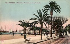 CPA Cannes Palm trees Walk of the Small cross