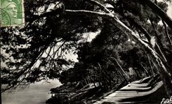 CPA Menton Pronienade Of the Cape Martin