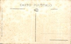 CPA Lou Bridge of Barco de Seuvo Riau known lou Pichot Pink the Bridge of Boats of Sylvareal about the Small Rhone