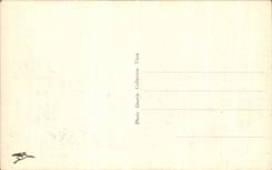 CPA Thiers the vault And the bridge St Roch