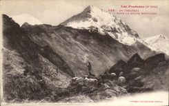 CPA Les Pyrenees Un Troupeau Dans La Haute Montagne Moutons