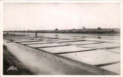 CPA Ile de Re Salt-water Marshes
