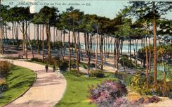 CPA Arcachon Vue Au Parc des Abatilles