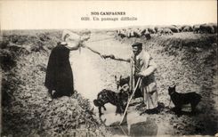 CPA Our Campaigns a Difficult Passage Shepherd Dogs Sheep