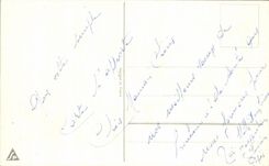 Flores del lirio de los valles de la felicidad de la puerta de CPA