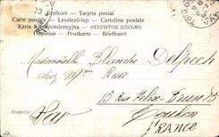 CPA Woman in the middle of the swans Fantasy