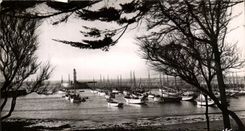 CPA Island D' Oleron Cotiniere the Port Boats