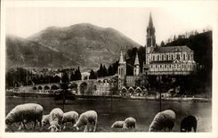 CPA Lourdes the Basilica And the Peak of the jer Sheep