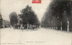 Avenida de Adan de la isla de la POSTAL de la VENDIMIA de los establos