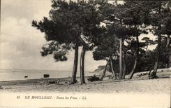 CPA Le Moulleau Dans Les Pins 