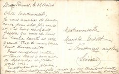 POSTAL Furia de la VENDIMIA 1848 flores