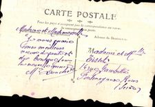 CPA Bonne Annee Colombe Oiseaux
