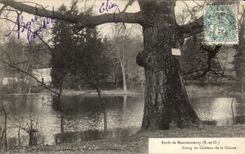 VINTAGE POSTCARD Drill of Montmorency Pond of the Castle of Hunting