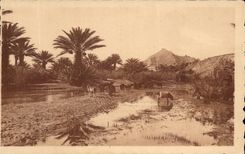 CPA Paysages du Sud Algerie