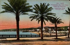 Caminata de la POSTAL de la VENDIMIA Niza de los Estados Unidos idos de las palmeras