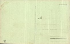 VINTAGE POSTCARD Pau view from above the royal Place and the chain