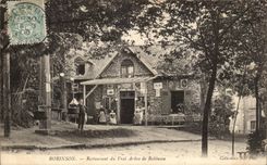 VINTAGE POSTCARD Robinson Restoring of the True tree of Robinson