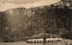 POSTAL de la VENDIMIA el ferrocarril de la cueva del tren de las ovejas de Han