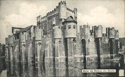 CPA Gand Le Chateau des Comtes