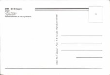 CPM En Bretagne Brest Toutes Voiles Dehors 1992 Bateau Le grand port