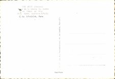 CPSM Brest Place de La Liberte Les Jardins et l hotel de ville