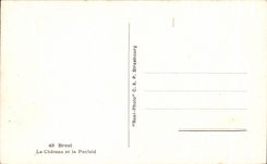 CPA Brest Le Chateau et La Penfeld Bateaux Sous marin