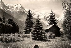 CPA Chamonix Mont Blanc Le Massif du Mont Blanc et L Aiguille du Midi