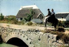 MODERN CARD the Camargue With Gardians Folklore Horse