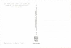 MODERN CARD the Camargue With Gardians Folklore Horse