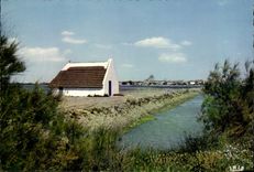 CPSM the Camargue With Gardians