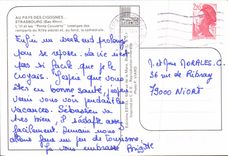 MODERN CARD Strasbourg L it and Covered Bridges