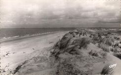 CPSM Bramble Les Bains the Gallon D But the Wild Dimension