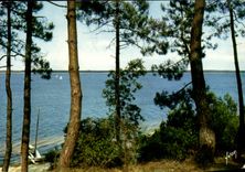 CPSM the Lake De Lacanau Seen Of the Pines Colors And Light Of France