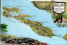 MODERN CARD Ile de Re Lobster