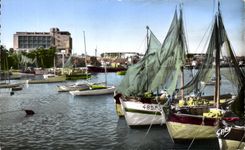 CPSM Royan los barcos portuarios