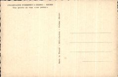 VINTAGE POSTCARD Champagne Pommery Greno Rheims Galerle de Vins on Point