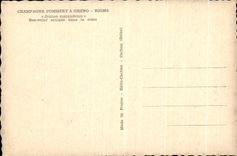 VINTAGE POSTCARD Rheims Champagne Pommery Greno Jeunes petty thieves Bas relief carves in Crate