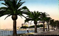 CPA Saint Raphael Boulevard Felix Maretin