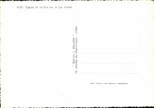 CPSM Cygnes et Vollie s sur le Lac Leman