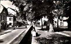Holy CPSM Julien in Genevese the Walk and I hotel of France